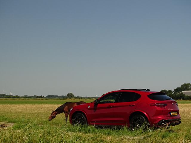 Alfa Romeo Stelvio 2.9 V6 AWD QV | Ragazzon | Carbon | Carplay | Dak | Rosso 8C | Uniek!