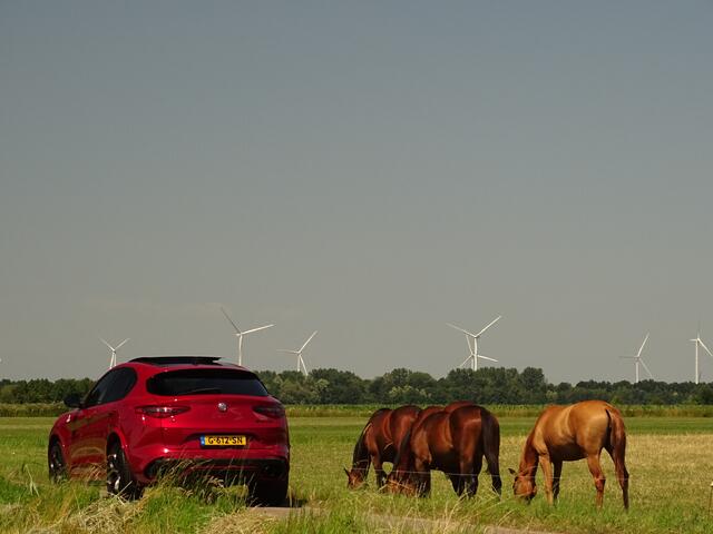 Alfa Romeo Stelvio 2.9 V6 AWD QV | Ragazzon | Carbon | Carplay | Dak | Rosso 8C | Uniek!