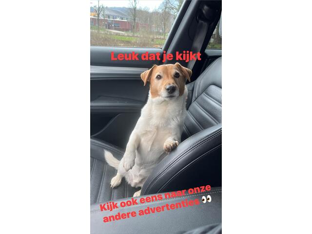 Alfa Romeo Stelvio 2.0 T AWD Veloce Special Edition Pano Trekhaak