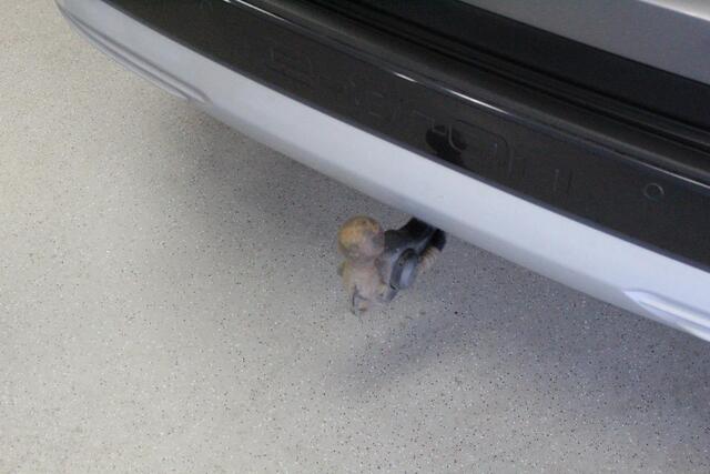 Audi Q4 e-tron 40 Launch edition Advanced 77 kWh | 20'LMV | DAB | WEGKL-TRHAAK | CAMERA | ACC | E-KLEP | NAVI | PDC | SFEER |