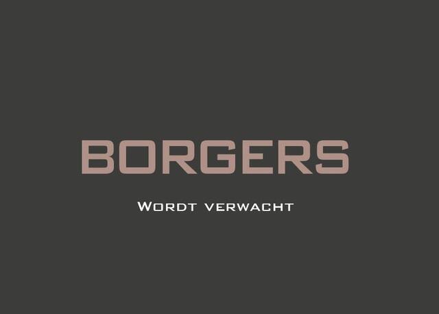 Audi Q8 60 TFSIe Trekhaak l B&O l Volleder l 4Wsturing