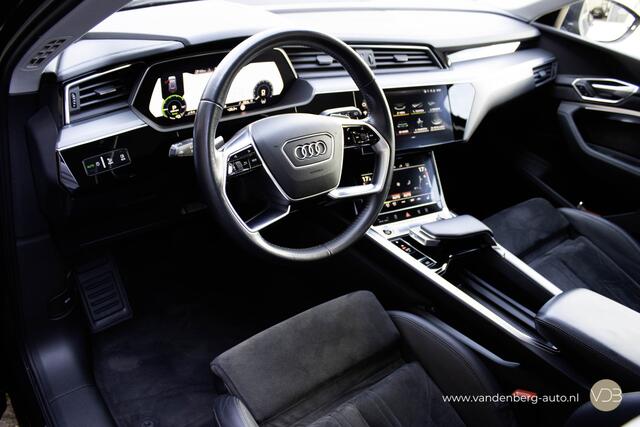 Audi e-tron 50 Quattro SFEERVERLICHTING TREKHAAK ALCANTARA Origineel NL
