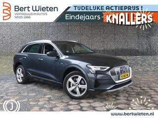 audi-e-tron-55-quattro--geen-impor