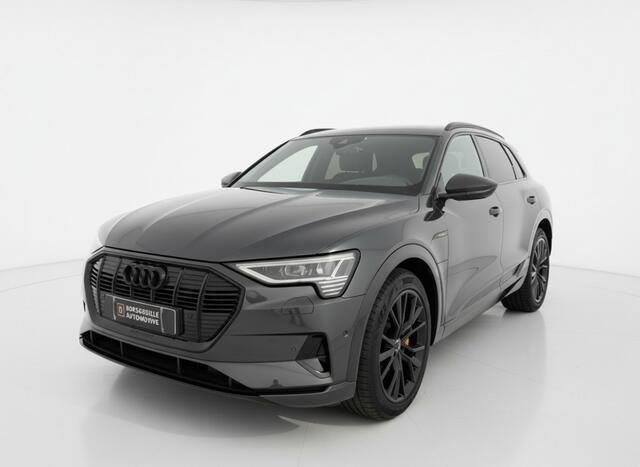 Audi e-tron 55 QUATTRO ADVANCED ED 95 KWH, Camera, ACC