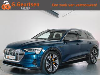 Audi e-tron e-tron 55 quattro advanced Pro Line Plus