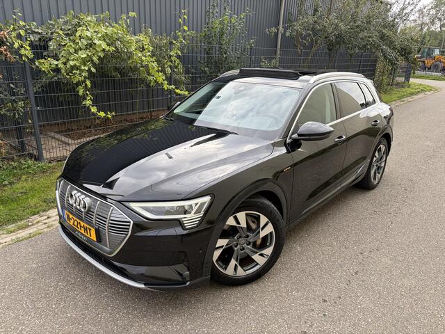 Audi e-tron 50 quattro Business edition Plus 71 kWh / AUTOMAAT / PANORMADAK / TREKHAAK / NAVI / MEMORY / 88dkm!