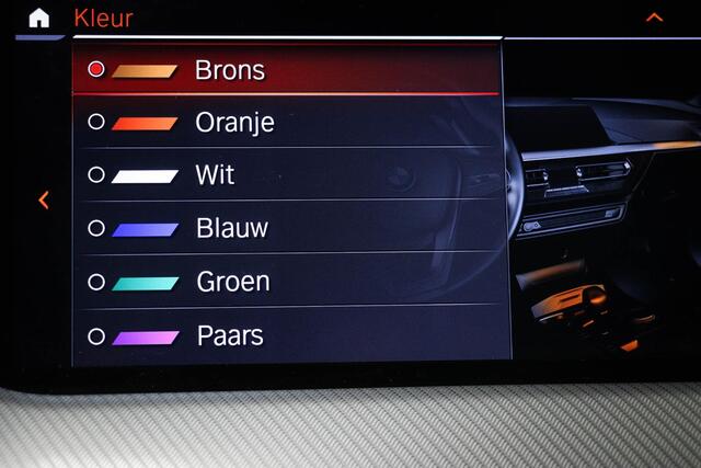 BMW 1-SERIE 118i Business Edition | SPORT LINE | PANORAMADAK | SPORTSTOELEN | DAB | APPLE