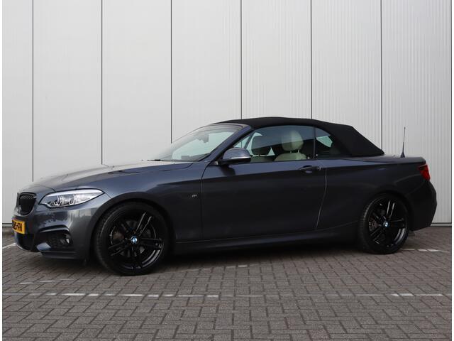 BMW 2-SERIE Cabrio 220i High Executive | Leder | Parkeercamera | Org. NL