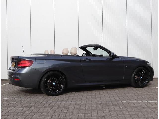 BMW 2-SERIE Cabrio 220i High Executive | Leder | Parkeercamera | Org. NL