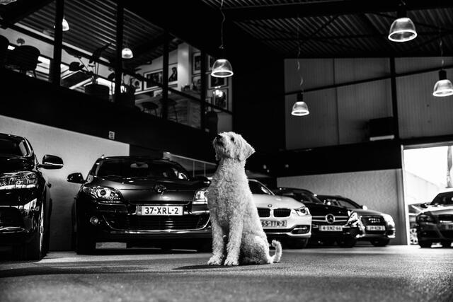 BMW 2-SERIE Gran Coupé 218i Executive Sportline Automaat (APPLE CARPLAY, M STUUR, GROOT NAVI, LEDER, SFEERVERLICHTING, SPORTSTOELEN, DAB+, CRUISE, LED KOPLAMPEN, NIEUWSTAAT)