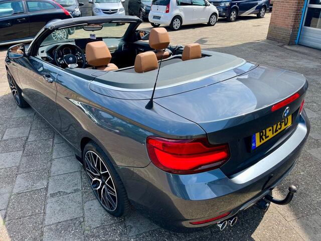 BMW 2-SERIE 220I HIGH EXECUTIVE NAP LOGISCH