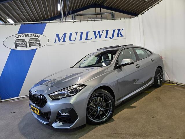 BMW 2-SERIE M-Sport 218i Business Edition / Panoramadak / Leder