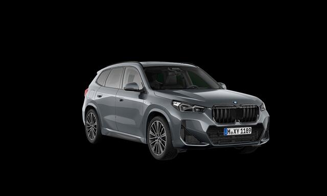 BMW X1 sDrive18i | M-Sport | Live Cockpit | Panorama | Alcantara/Leder | Memory | H&K | Camera | Head-Up | 20"LM | Individual Storm Bay