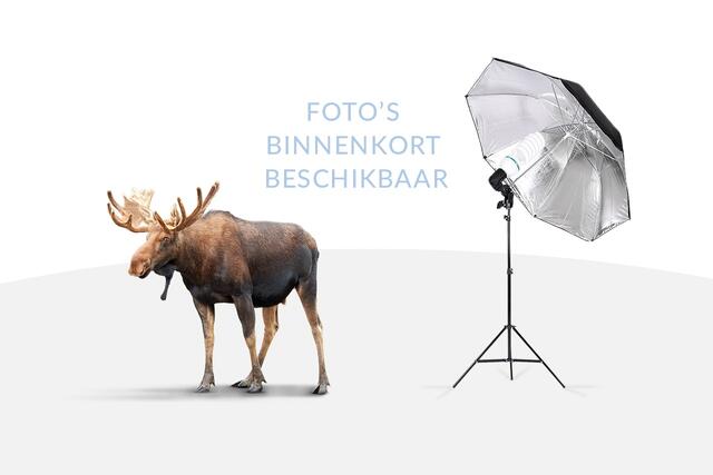 BMW X1 xDrive25e | M-Sport | Driving Assistant Plus |