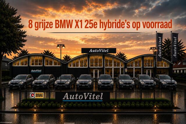 BMW X1 xDrive25e | Leder | Stoelverwarming |PDC V+A | Privacy Glas | LED | NAVI