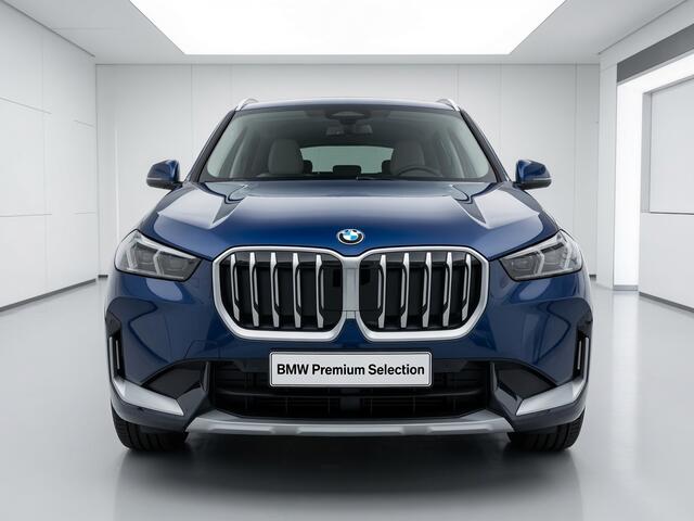 BMW X1 xDrive25e xLine | Panorama | Trekhaak | Camera