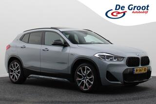 bmw-x2-xdrive25e-business-edition-p