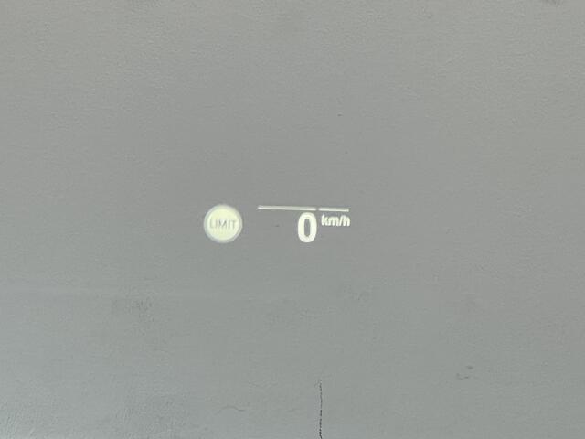 BMW X4 xDrive30i High Executive | NAVI | PANO | TREKHAAK | STOELVERWARMING | KEYLESS |