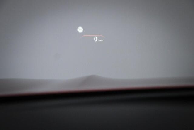 BMW X4 xDrive20i X-Line High Executive | PANORAMADAK | HEAD UP | STUURVERWARMING | TREKHAAK | 19"