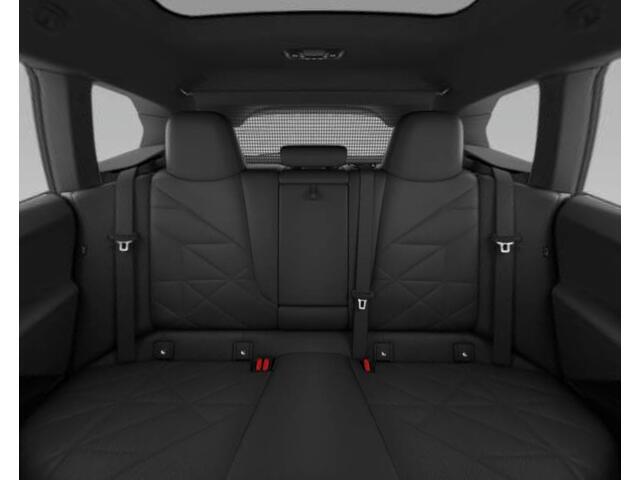 BMW iX xDrive40 Executive 77 kWh Trekhaak - Panoramadak - Driving/Parking Assistant Professional - Luchtvering - Comfort Access - Soft close - Getinte Ruiten - Hemelbekleding in Anthrazit -