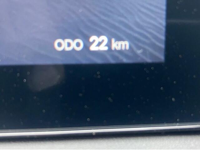 BYD ATTO 2 1.5 DM-i Boost - Panoramadak - leer - 360 camera - verw. stoelen/stuur - rijklaar!