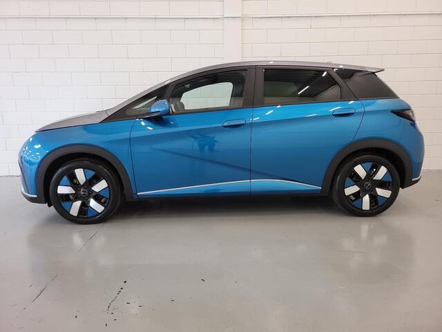 BYD Dolphin Design 60 kWh
