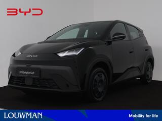 byd-dolphin-surf-active-30-kwh--ni