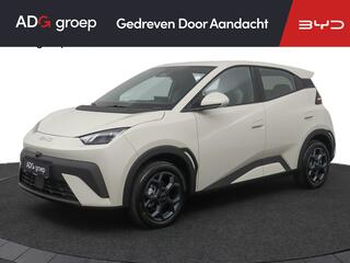 byd-dolphin-surf-boost-43-kwh--322