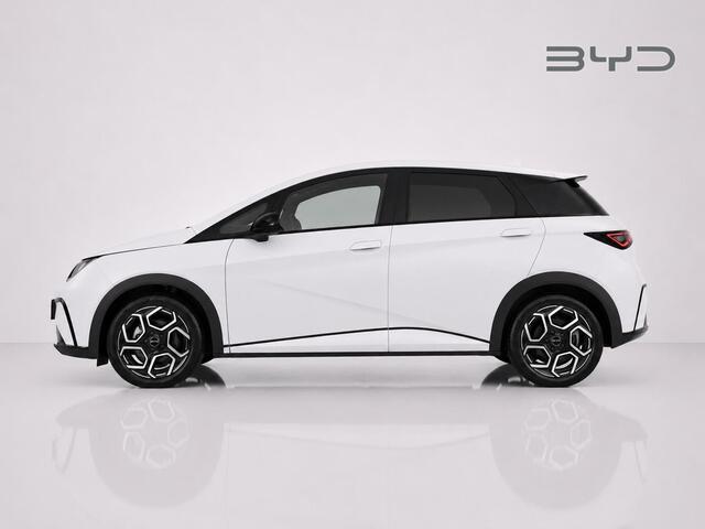 BYD Dolphin Design 60.4 kWh