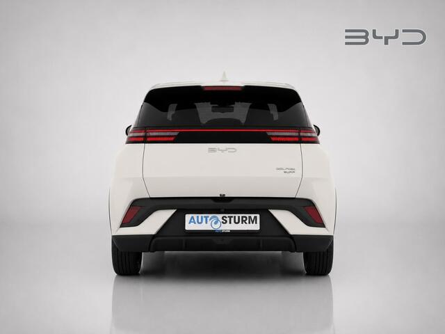 BYD Dolphin SURF Comfort 43 kWh