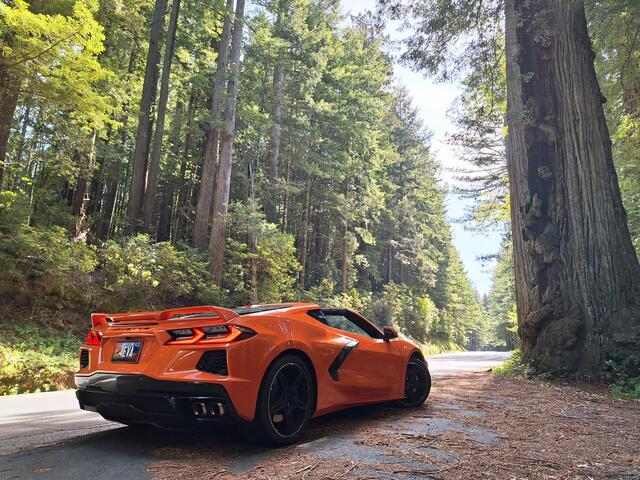 Chevrolet CORVETTE C8 6.2 V8 Stingray Coupe LT3 Z51 497PK 70 Years Edition