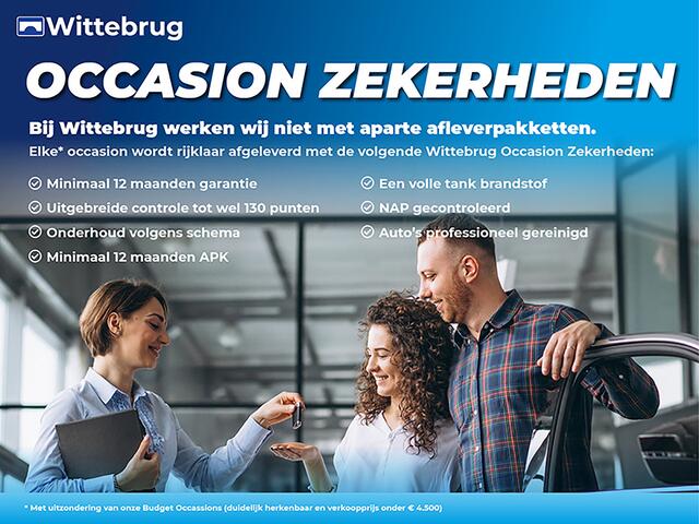 Citroen C4 CACTUS 1.2 PureTech Business | Navigatie | Parkeersensoren | Dealeronderhouden