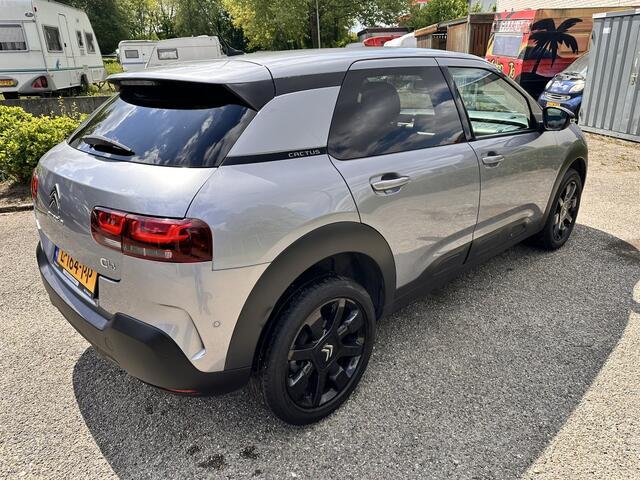 Citroen C4 CACTUS 1.2 PureTech Shine