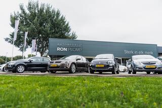 citroen-c4-cactus-1.2-puretech-shin