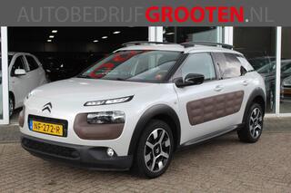 citroen-c4-cactus-1.2-puretech-shin