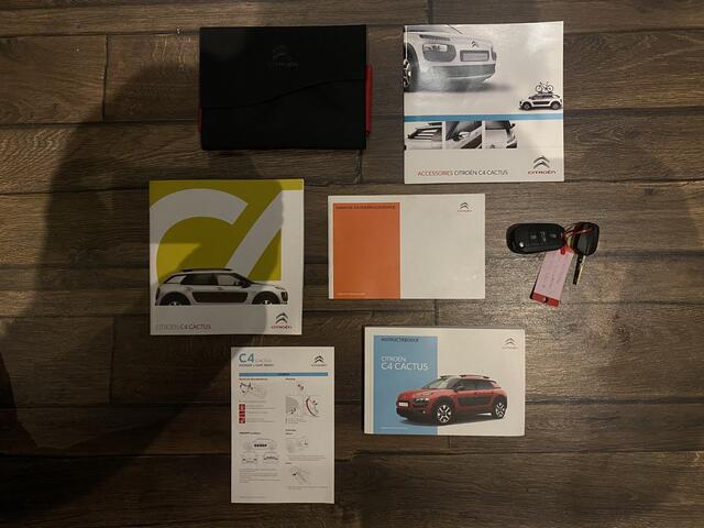 Citroen C4 CACTUS 1.2 PureTech Rip Curl Pano, Camera, PDC, Navi