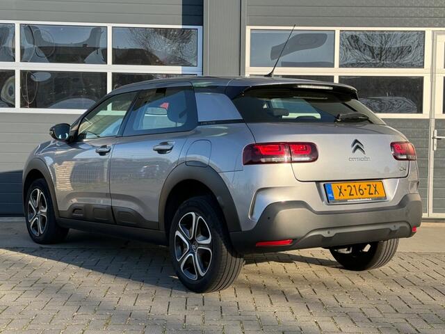 Citroen C4 CACTUS 1.2 PureTech Shine +
