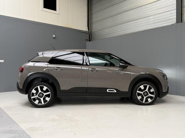 Citroen C4 CACTUS 1.2 PureTech Shine Cruise|Navi|Camera|