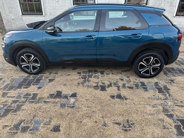Citroen C4 CACTUS 1.2 PT Business / all in prijs/ apple carplay/android /navi