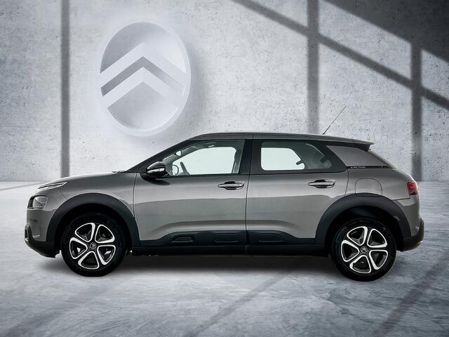 Citroen C4 CACTUS 110 pk Business | Rijklaar | Trekhaak | Navigatie | Carplay |