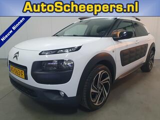 citroen-c4-cactus-1.2-puretech-shin