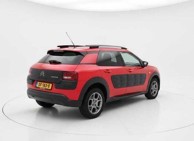 Citroen C4 CACTUS 1.2 PureTech Business Plus PANO - RIEM VERVANGEN