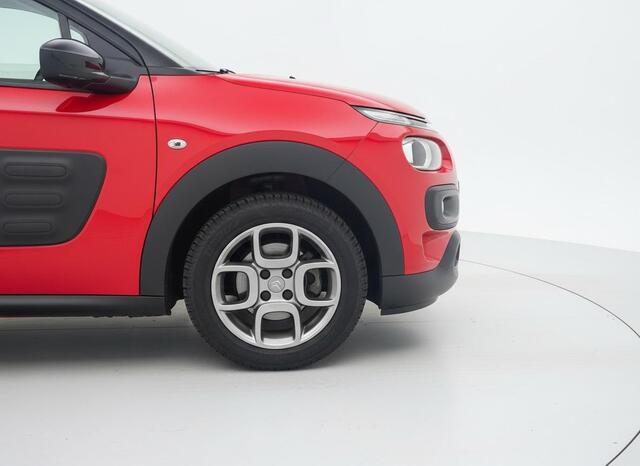 Citroen C4 CACTUS 1.2 PureTech Business Plus PANO - RIEM VERVANGEN
