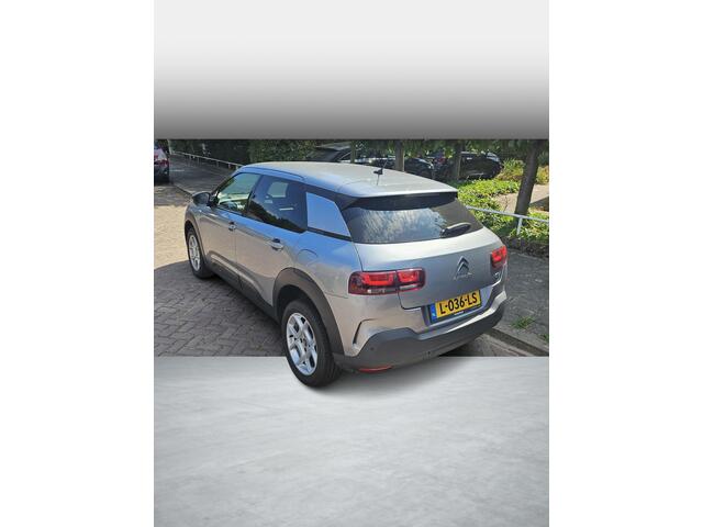 Citroen C4 CACTUS 1.2 PureTech Business Plus Achteruitrijcamera, In nette staat!