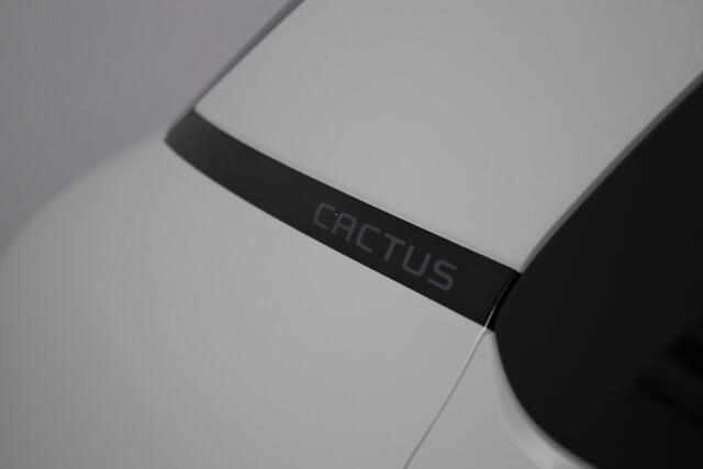 Citroen C4 CACTUS PT 110 'Orgins' Automaat-6 Carplay | Camera | Lichtmetaal | Android Auto