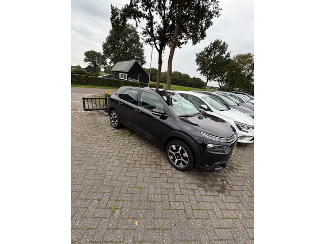 Citroen C4 CACTUS 1.2 PT Business 110 PK NIEUWE APK / NIEUWE D-RIEM / NAVI / CLIMA / CRUISE / PDC / LMV / LED