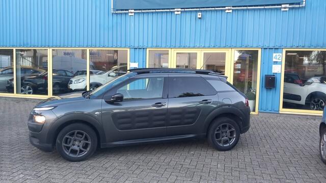 Citroen C4 CACTUS 1.2 PureTech Businesse Plus – foto 2