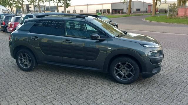 Citroen C4 CACTUS 1.2 PureTech Businesse Plus – foto 3