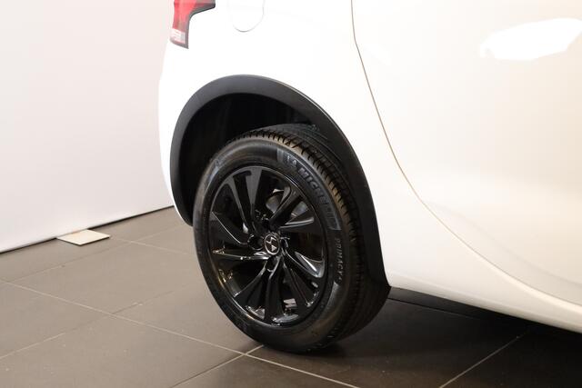 Citroen DS4 Crossback PT 130 Business Camera | 17" | Dodehoek detectie etc