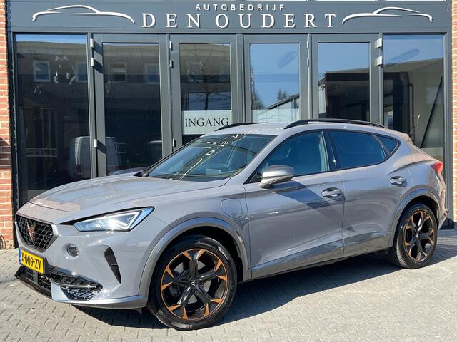 Cupra Formentor 1.4 e-Hybrid Business APPLE CARPLAY / STUURVERWARMING